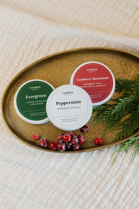 HOLIDAY TRAVEL TINS