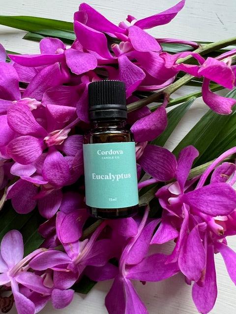 EUCALYPTUS DIFFUSER OIL